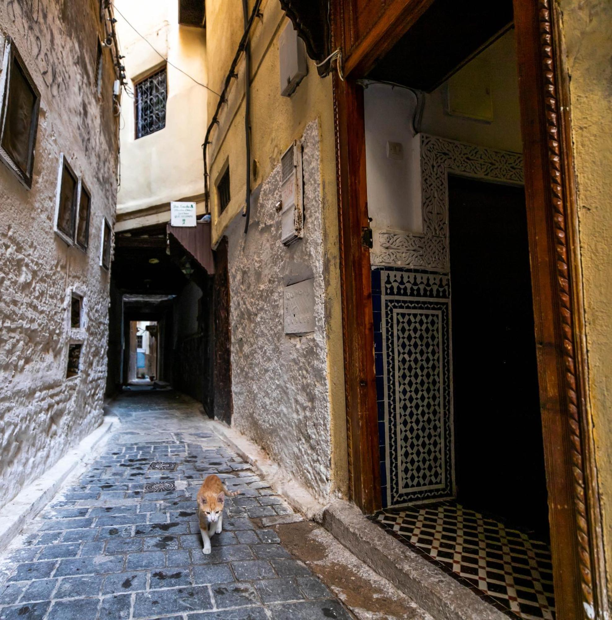 Riad Dar Omar Fès Exterior foto